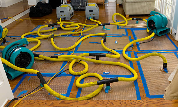 Professional Water Damage Restoration technician working in Landrum, SC